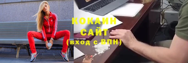 гашик Алзамай