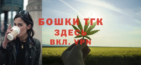 шишки Алексин