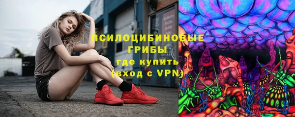 СК Абинск