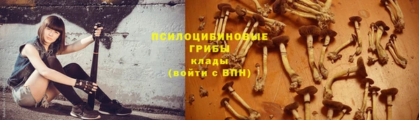 СК Абинск