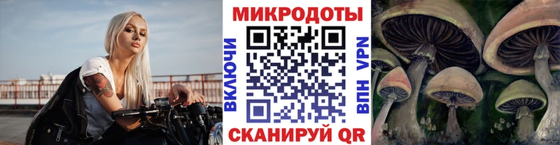 где купить наркоту  kraken как зайти  Псилоцибиновые грибы MAGIC MUSHROOMS  Нижневартовск 