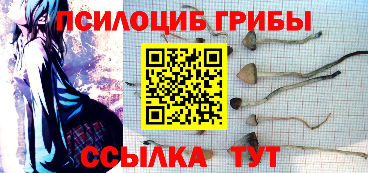 Галлюциногенные грибы Psilocybe  Вход с VPN  Нижневартовск 