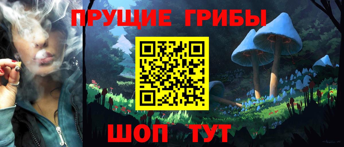 Галлюциногенные грибы Psilocybine cubensis Нижневартовск